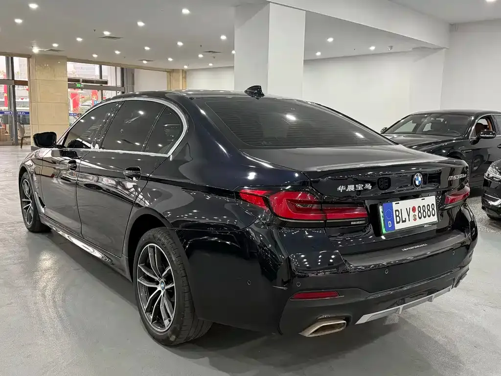 BMW 5 Series New Energy 2021 из CN, фото 9