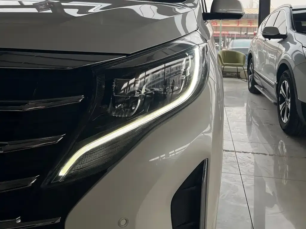 GAC Motor Trumpchi M8 2021 из CN, фото 9