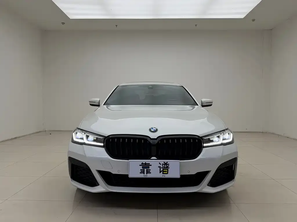 BMW 5 Series 2021 из CN, фото 4