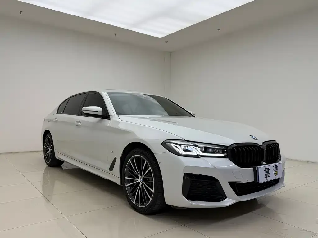 BMW 5 Series 2021 из CN, фото 6