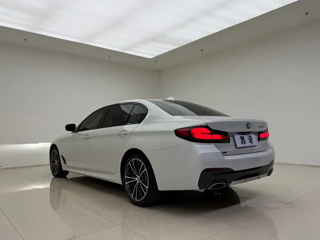 BMW 5 Series 2021 из CN, фото 2