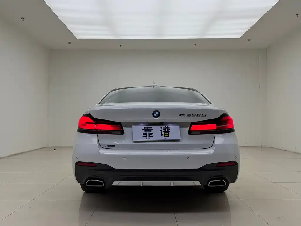BMW 5 Series 2021 из CN, фото 3