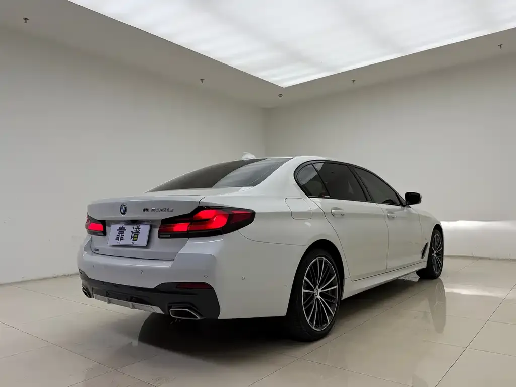 BMW 5 Series 2021 из CN, фото 5