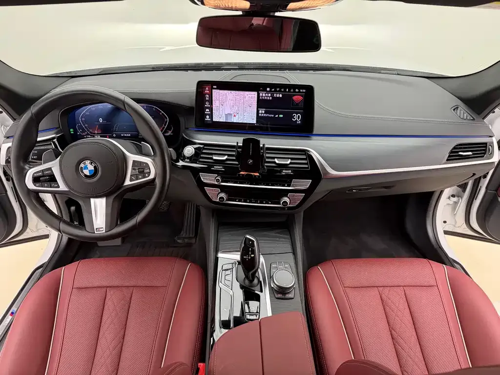 BMW 5 Series 2021 из CN, фото 9