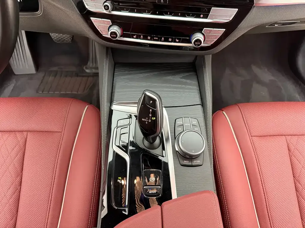BMW 5 Series 2021 из CN, фото 10