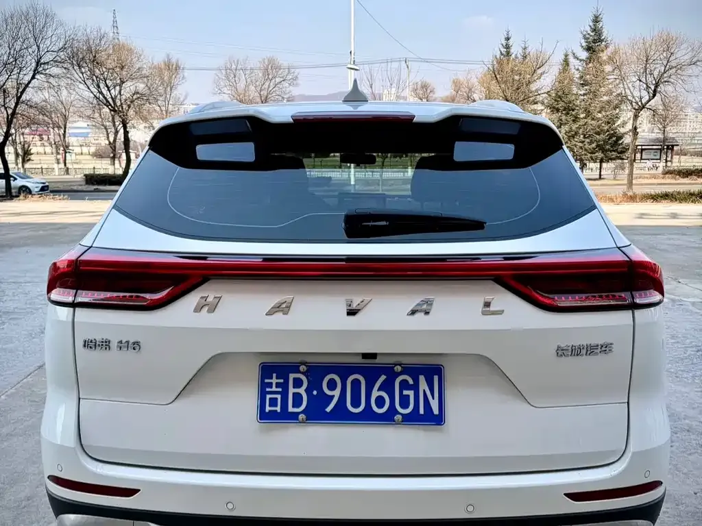 Haval H6 2023 из CN, фото 2