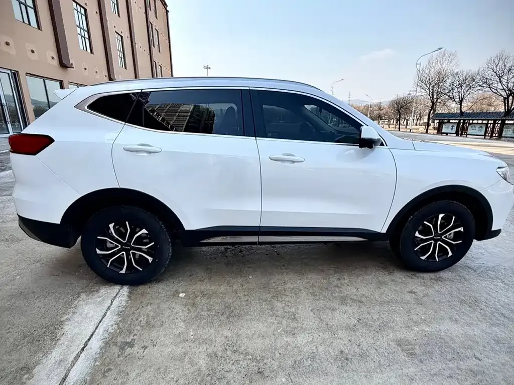 Haval H6 2023 из CN, фото 9