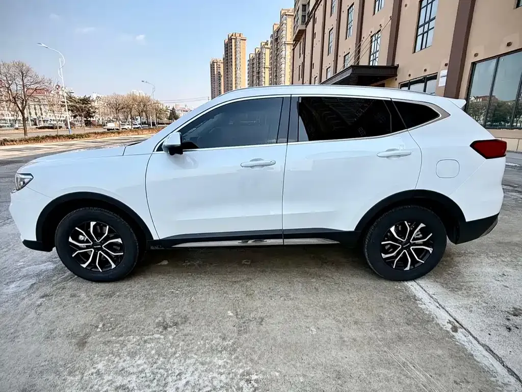 Haval H6 2023 из CN, фото 7