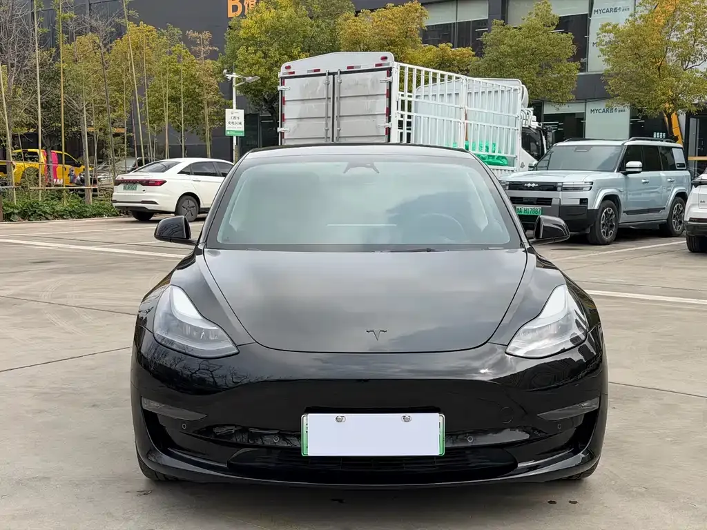 Tesla Model 3 2023 из CN, фото 6