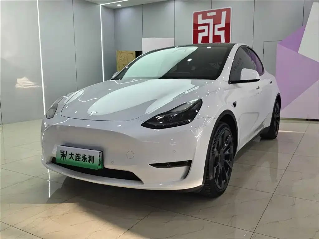 Tesla Model Y — фото 1