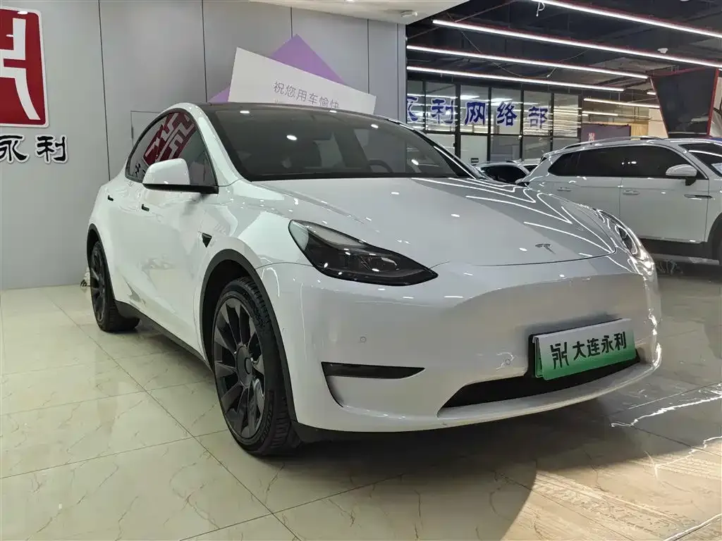 Tesla Model Y — фото 9