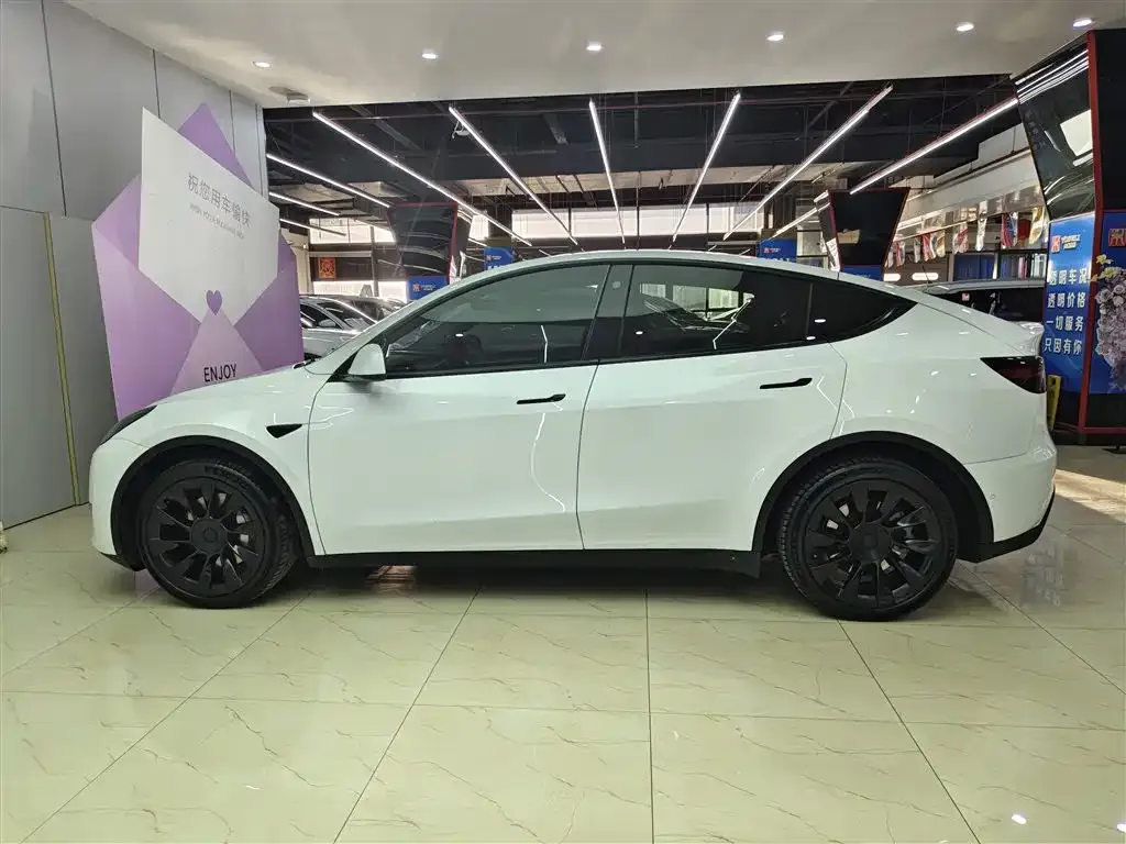 Tesla Model Y — фото 10