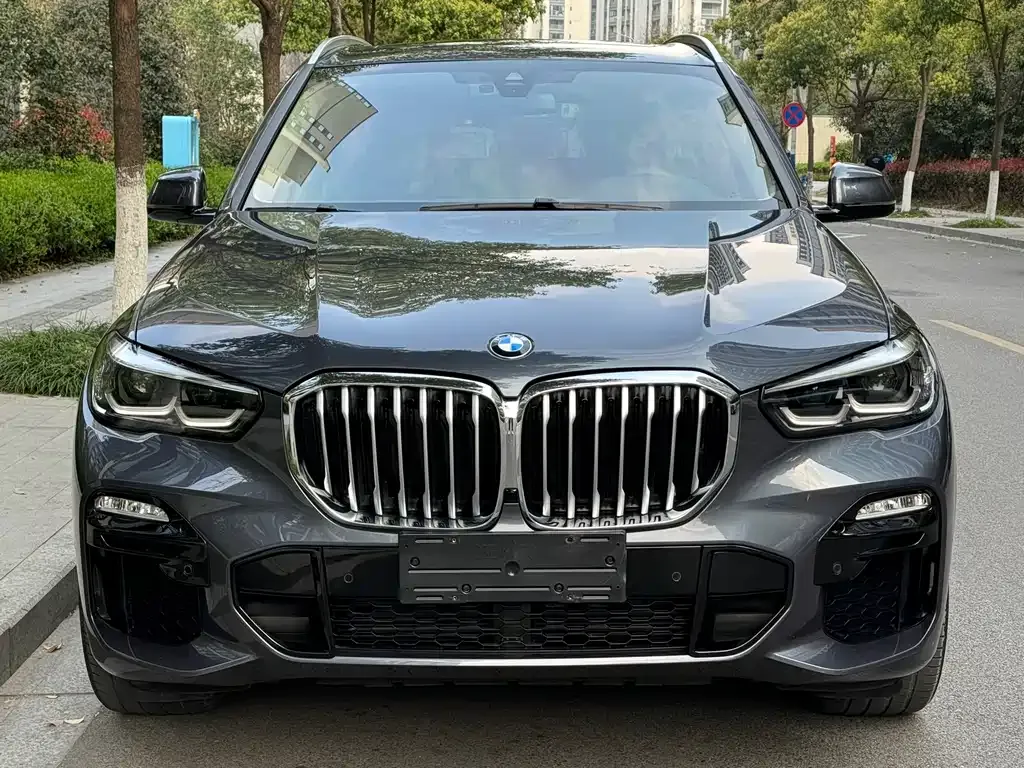 BMW X5 (Import) — фото 3