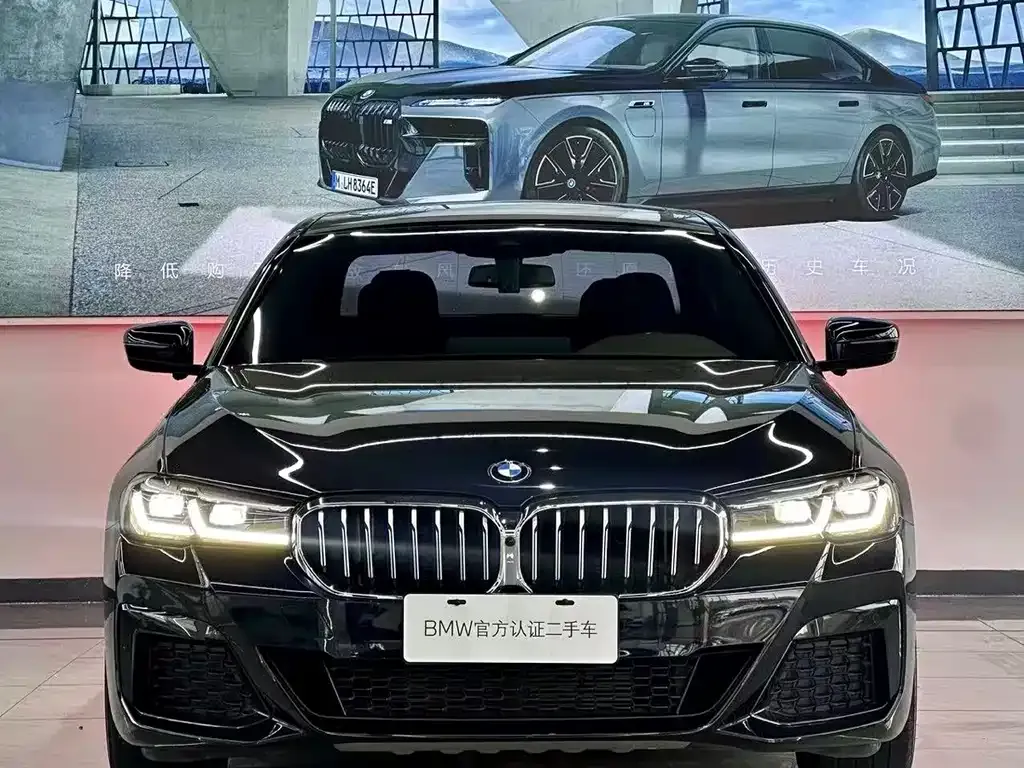 BMW 5 Series 2022 из CN, фото 6
