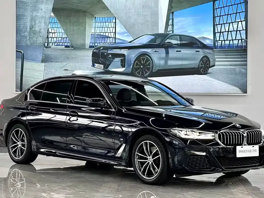 BMW 5 Series 2022 из CN, фото 10