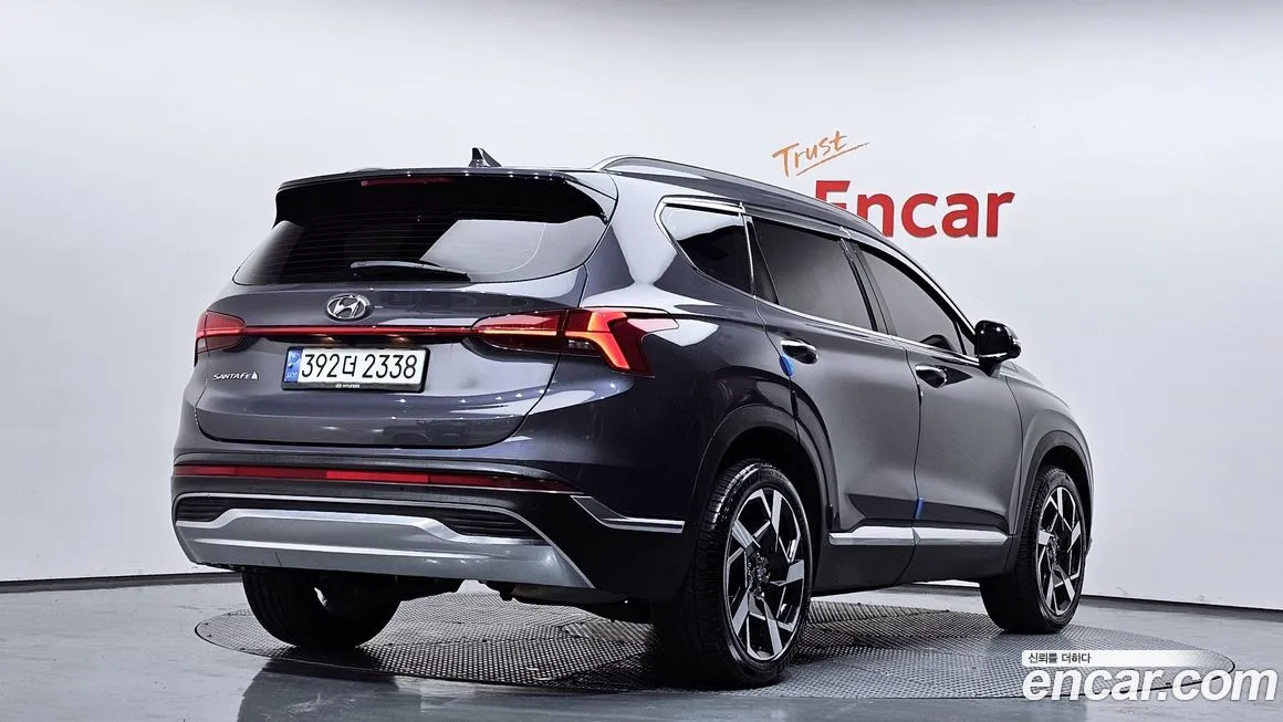 Hyundai Santafe 2021 из KR, фото 6