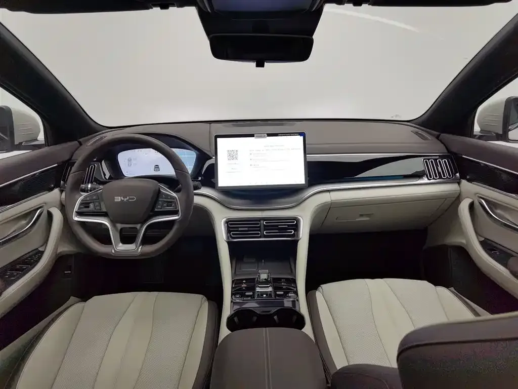 BYD PLUS New Energy — фото 10