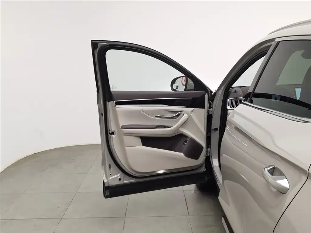 BYD PLUS New Energy — фото 4