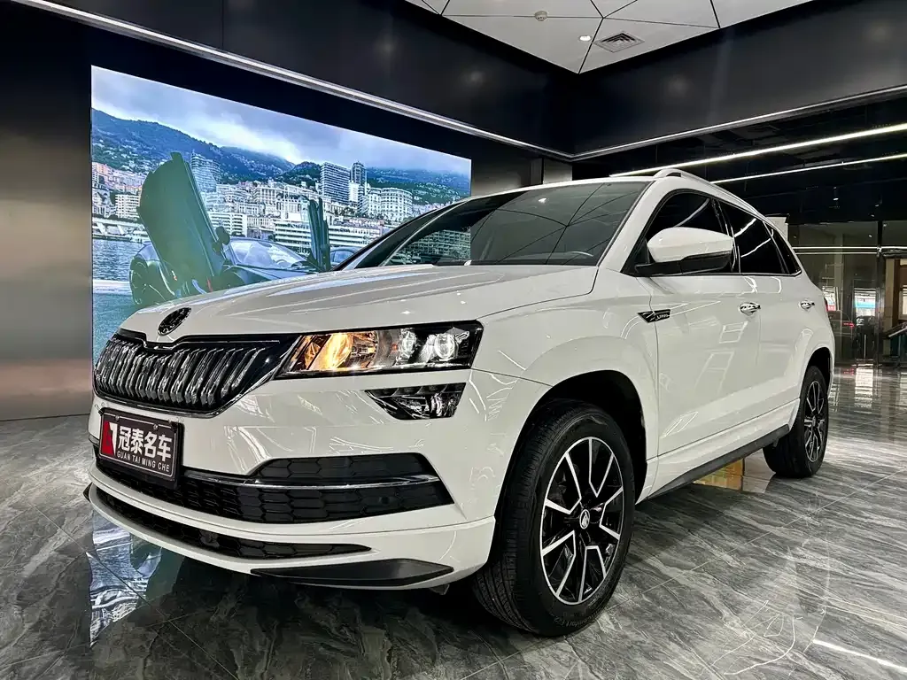 Skoda Karoq 2024 из CN, фото 1
