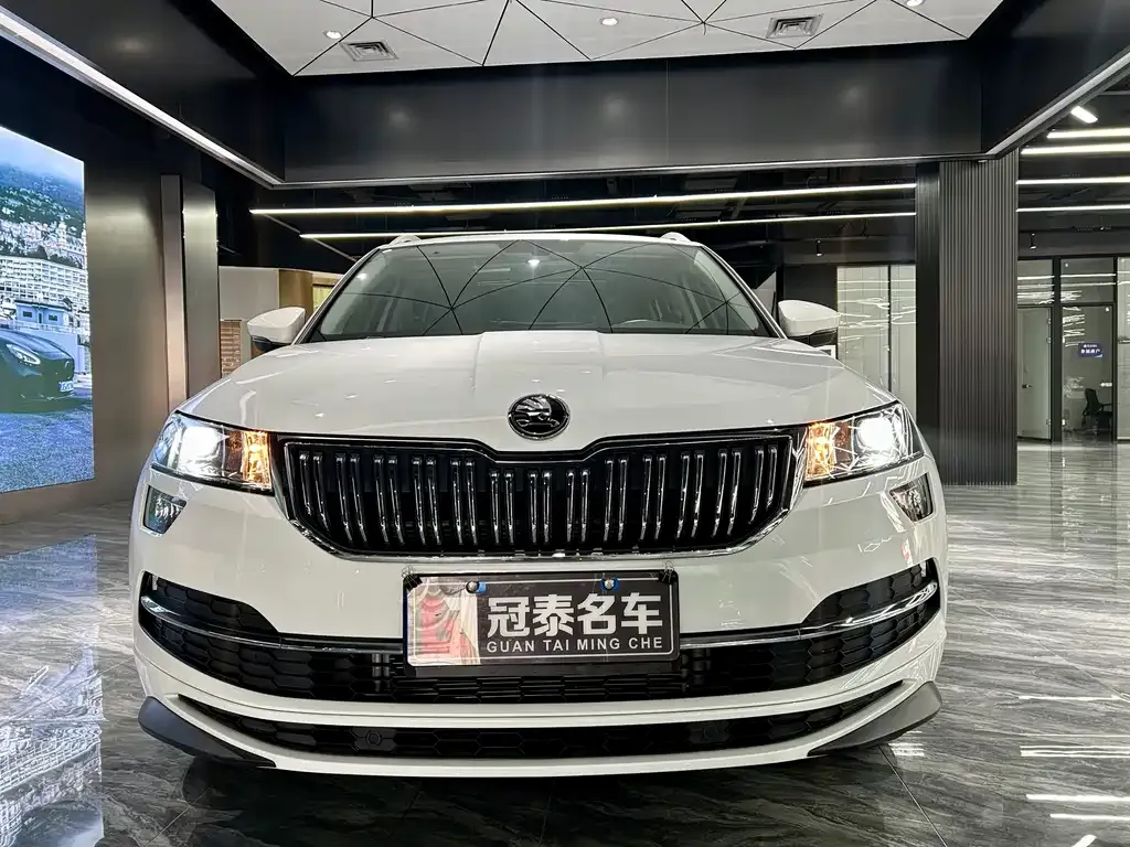 Skoda Karoq 2024 из CN, фото 2