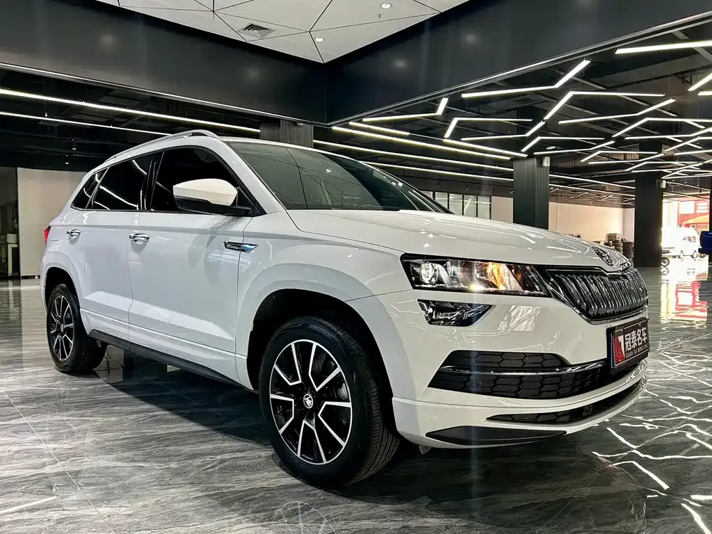 Skoda Karoq 2024 из CN, фото 5