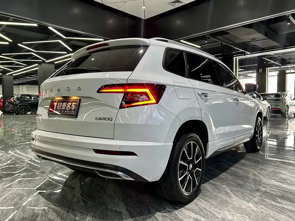 Skoda Karoq 2024 из CN, фото 3