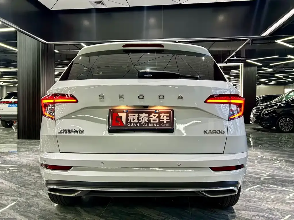 Skoda Karoq 2024 из CN, фото 4