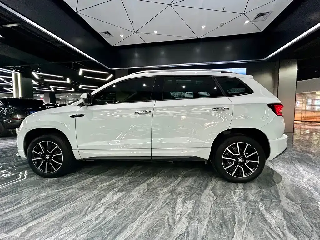 Skoda Karoq 2024 из CN, фото 8