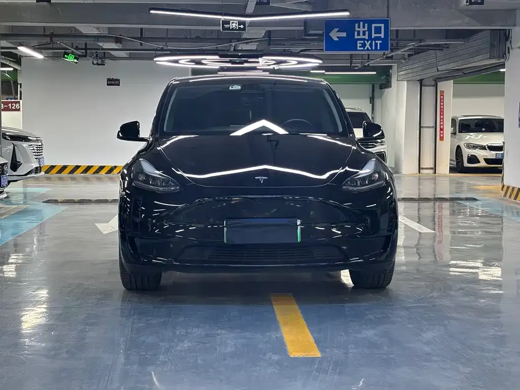 Tesla Model Y — фото 9