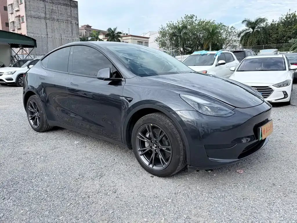 Tesla Model Y — фото 8