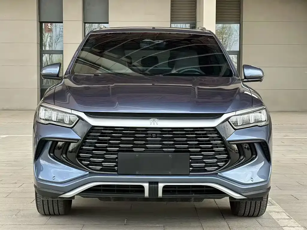 BYD Pro New Energy — фото 3