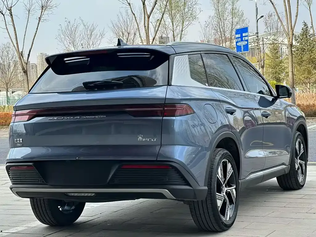 BYD Pro New Energy — фото 4