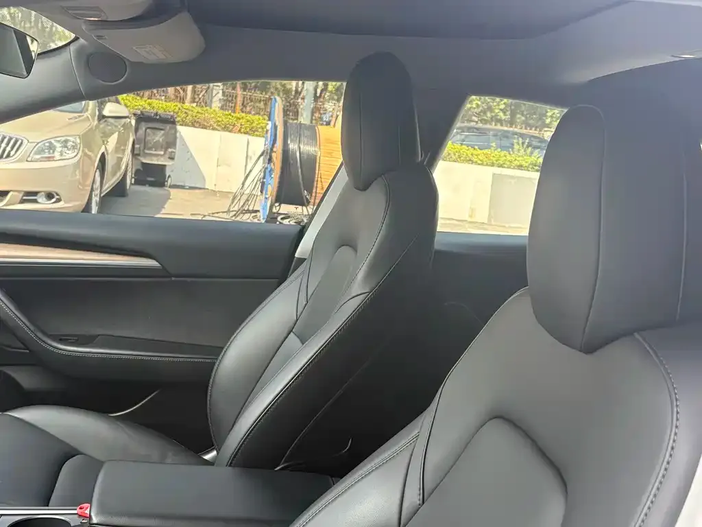 Tesla Model 3 2021 из CN, фото 2