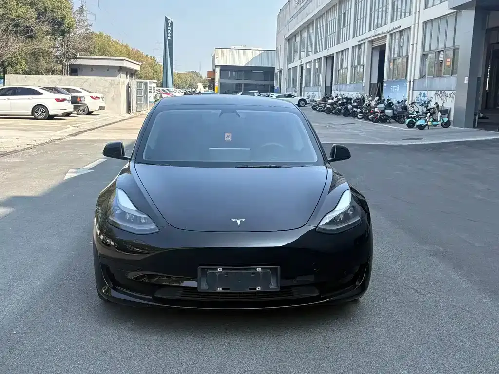 Tesla Model 3 2021 из CN, фото 9