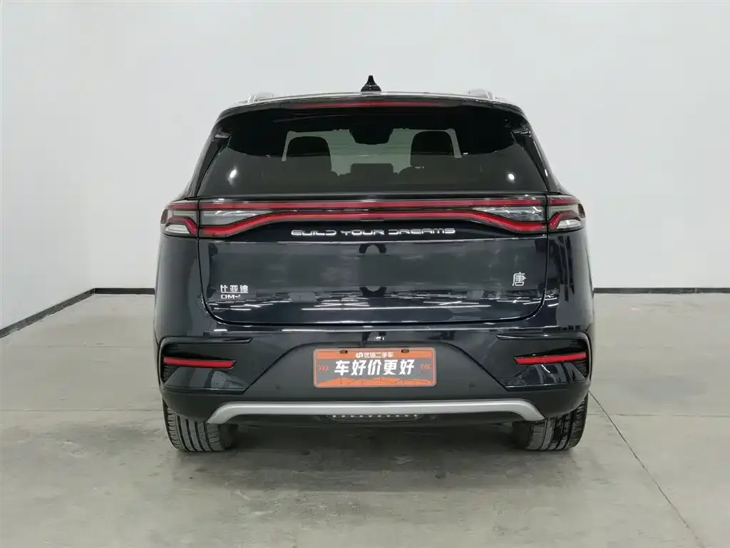 BYD Tang New Energy — фото 5