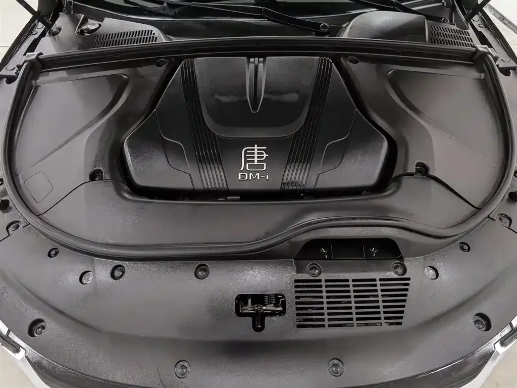 BYD Tang New Energy — фото 10
