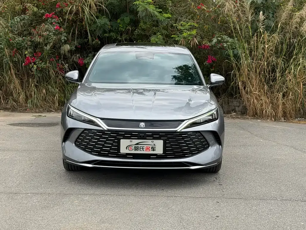 BYD Qin L — фото 3