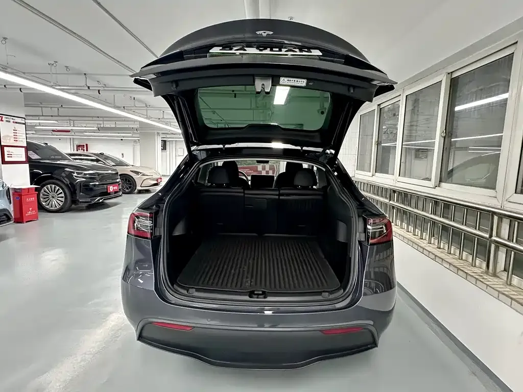 Tesla Model Y — фото 10