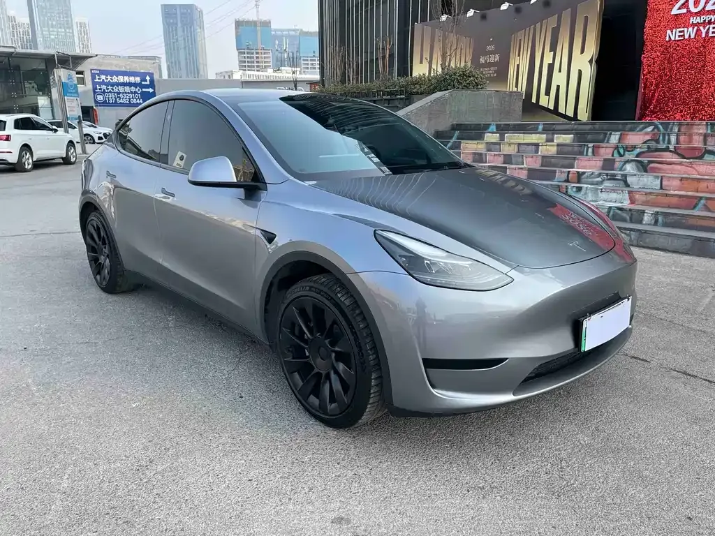 Tesla Model Y — фото 10