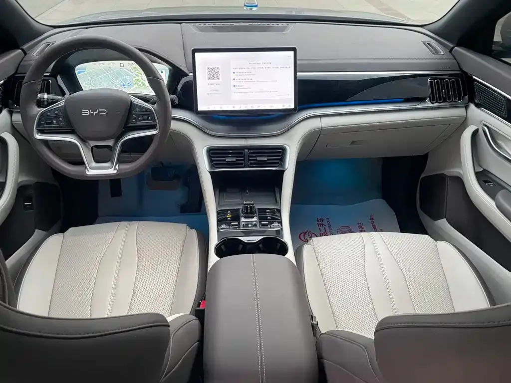 BYD PLUS New Energy — фото 4