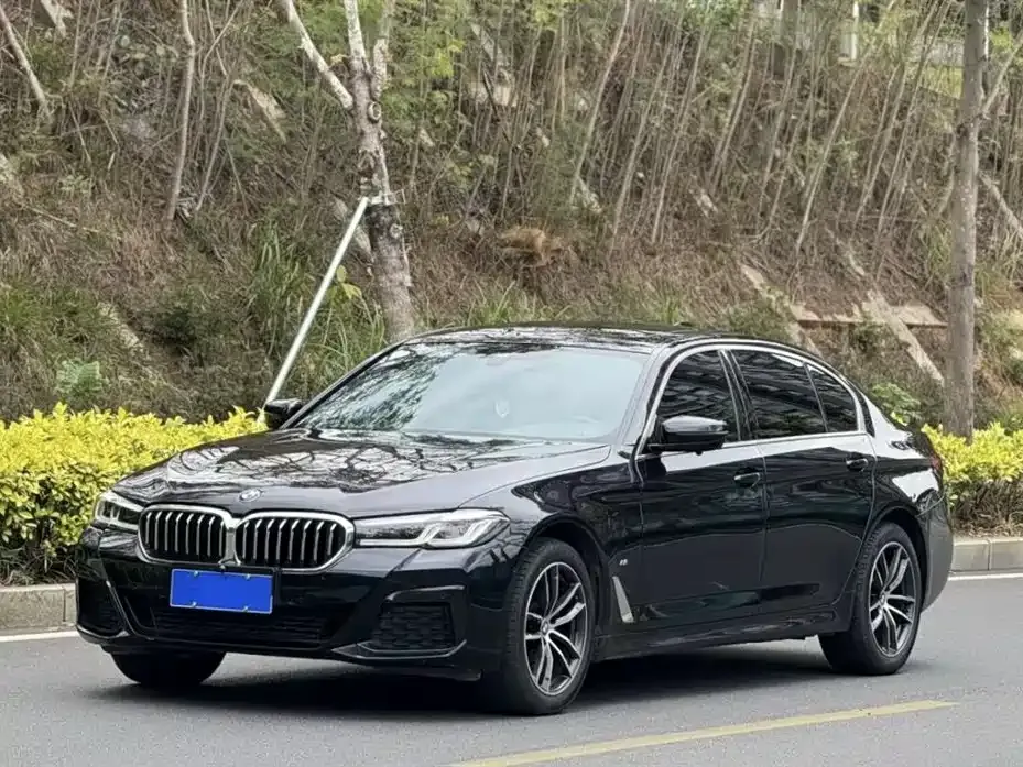 BMW 5 Series 2023 из CN, фото 1