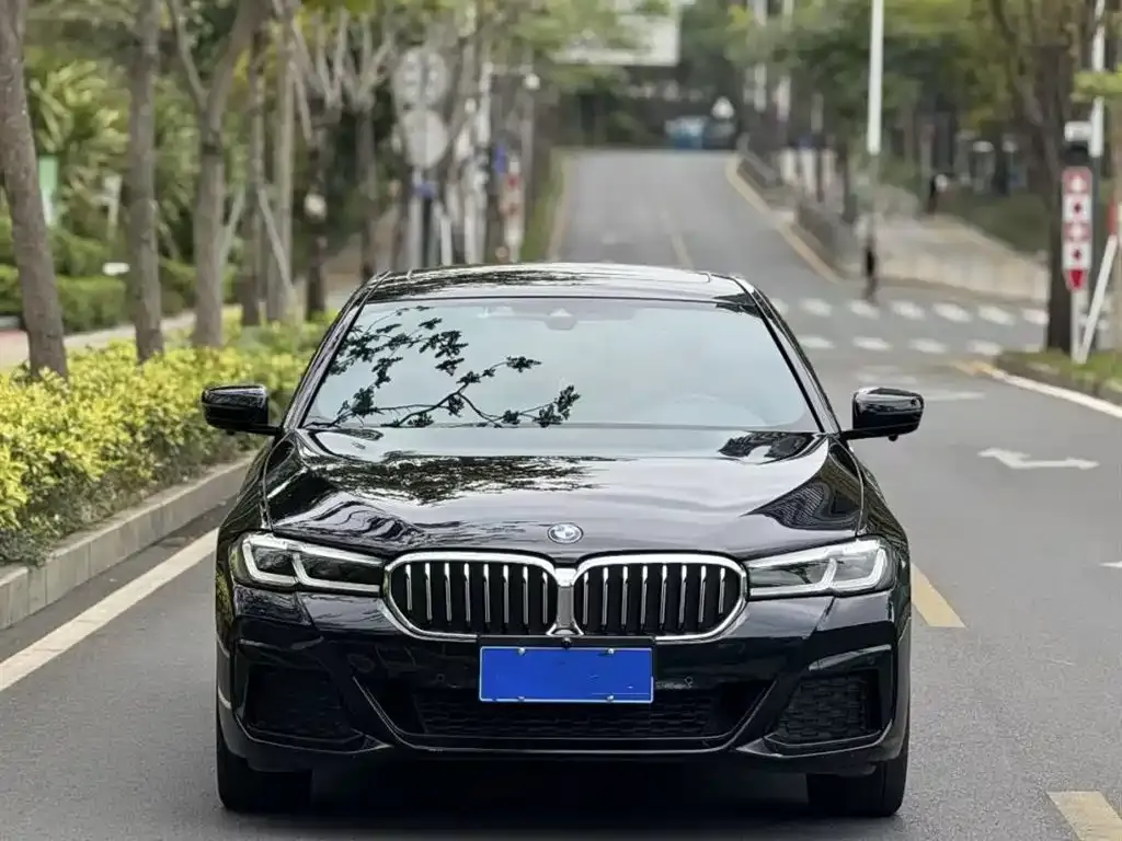 BMW 5 Series 2023 из CN, фото 2
