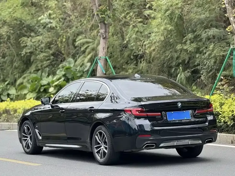 BMW 5 Series 2023 из CN, фото 3