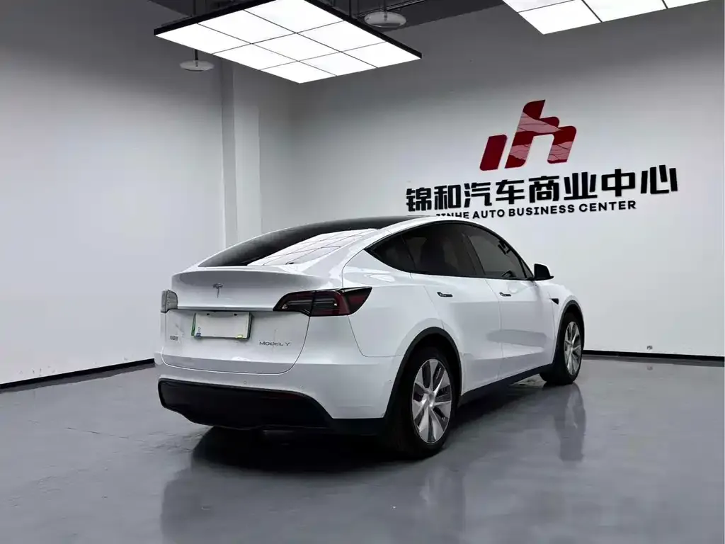 Tesla Model Y — фото 8