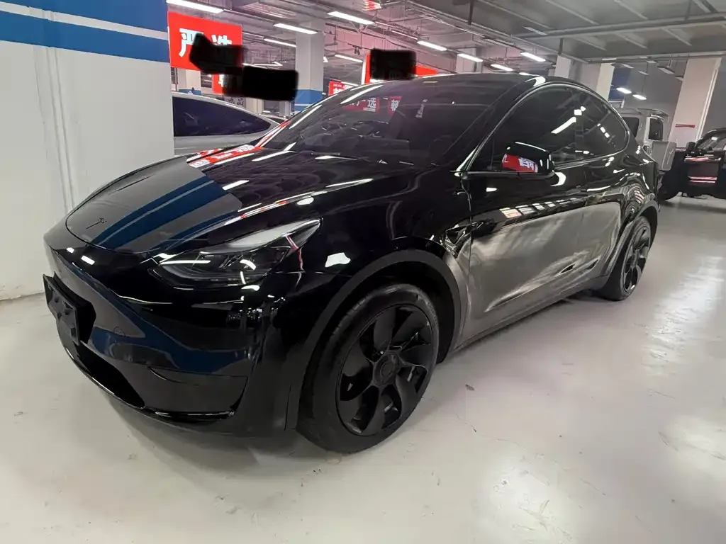 Tesla Model Y — фото 1