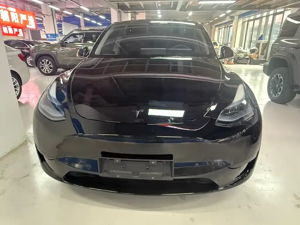 Tesla Model Y — фото 3
