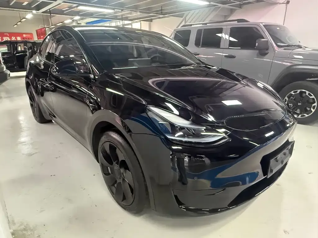 Tesla Model Y — фото 8