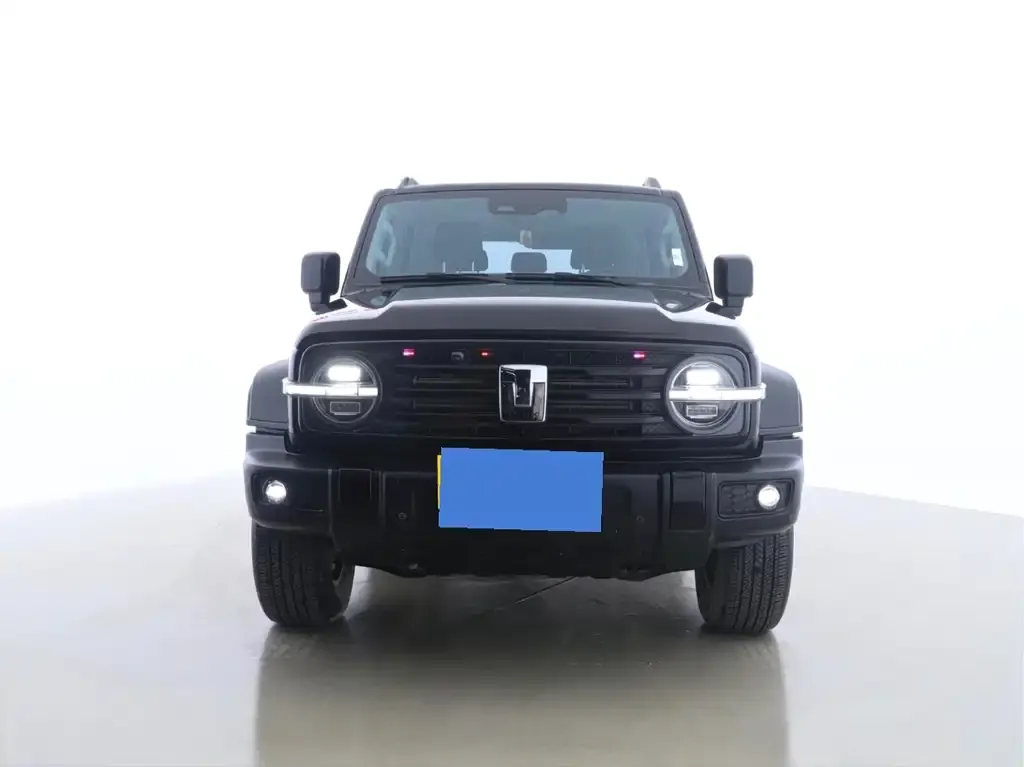 Tank 300 2023 из CN, фото 4