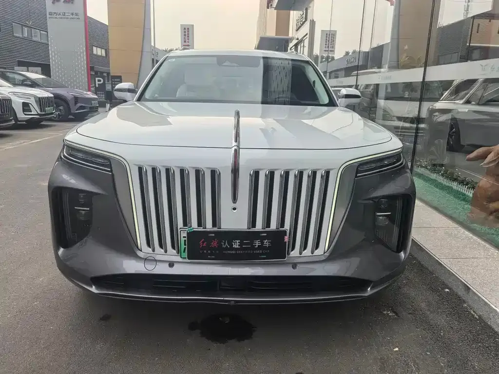 Hongqi E-HS9 2023 из CN, фото 7