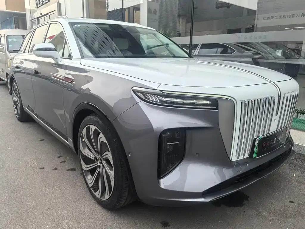 Hongqi E-HS9 2023 из CN, фото 2